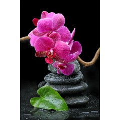 Sticker frigo Orchidée