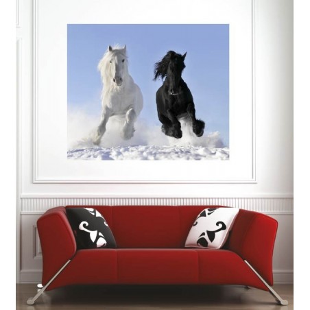 Affiche poster chevaux