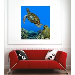 Affiche poster tortue de mer