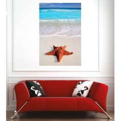 Affiche poster plage étoile de mer 