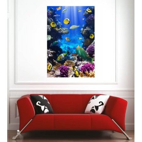 Affiche poster poissons tropicaux 