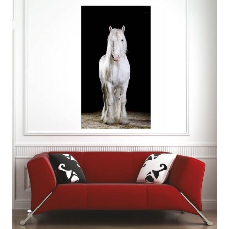 Affiche poster cheval blanc