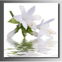 Tableaux toile déco carré orchidée blanche