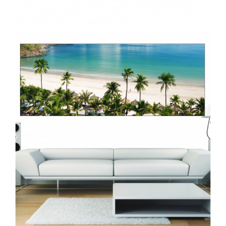 Papier peint panoramique Palmier et plage