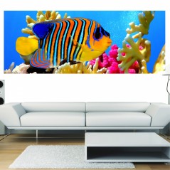 Papier peint panoramique poisson exotique