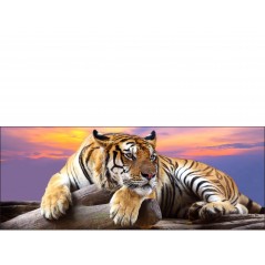 Stickers tête de lit déco Tigre
