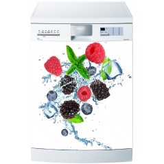 Stickers Lave Vaisselle Fruits - ou magnet lave vaisselle 