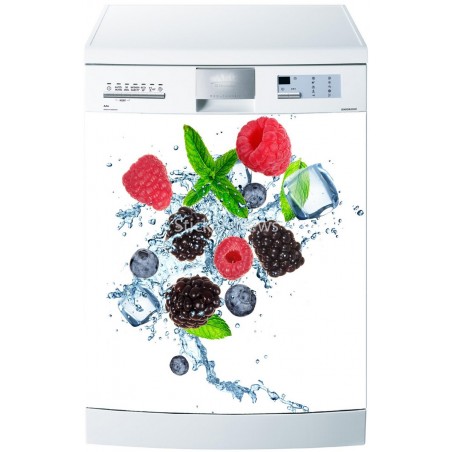 Stickers Lave Vaisselle Fruits - ou magnet lave vaisselle 