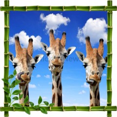 Sticker mural déco bambous Girafes