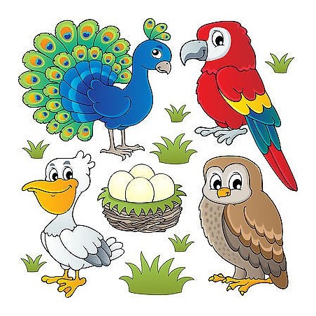 Stickers kit enfant planche de stickers Oiseaux réf 3695 (12 dimensions)