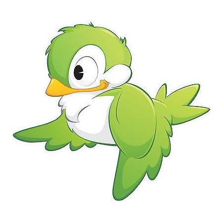 Stickers enfant Oiseau Vert réf 3563 (Dimensions de 10cm à 130cm de largeur)