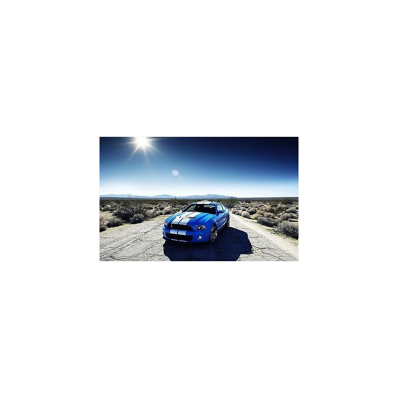Sticker autocollant auto voiture Ford shelby gt500 A225