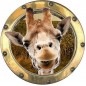 Sticker trompe l'oeil déco Girafe réf:hublot 1102