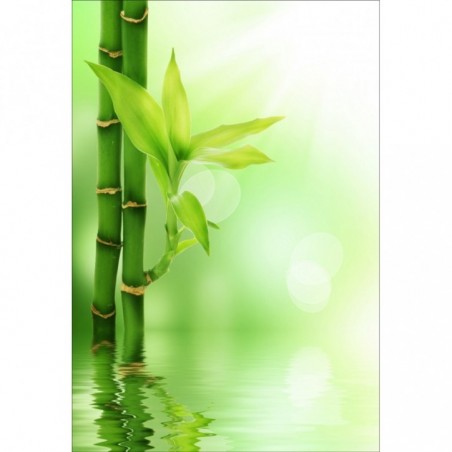Stickers muraux déco Zen: bambou