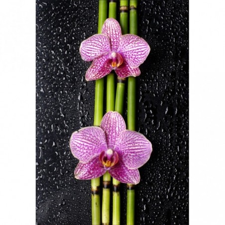 Stickers muraux déco Zen: orchidée bambou