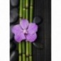 Stickers muraux déco Zen: bambou orchidée