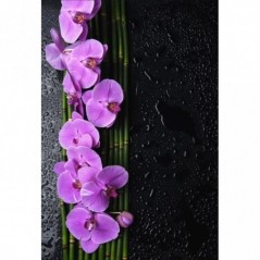 Stickers muraux déco Zen: orchidée bambou