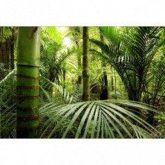 Stickers muraux déco Zen: Forêt bambous