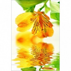 Stickers muraux déco Zen: fleur sur eau