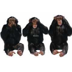Sticker chimpanzés-expression 