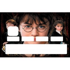 2 Stickers Autocollants Skin Carte de Crédit CB Harry Potter