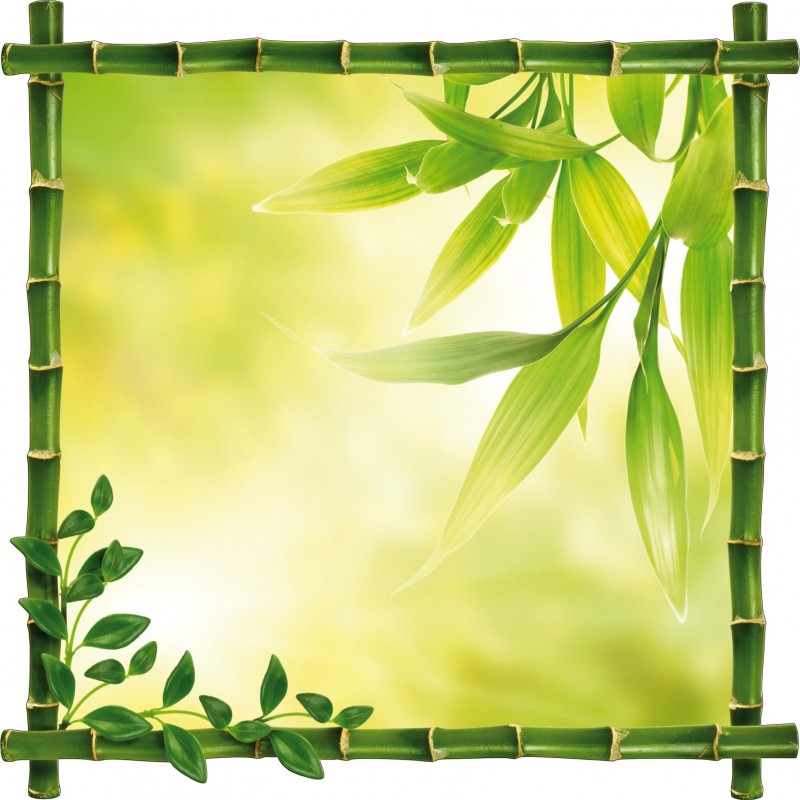 Sticker Trompe l'oeil deco feuilles Bambou 