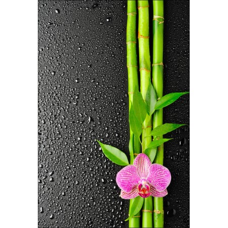Sticker frigo Orchidée Bambous