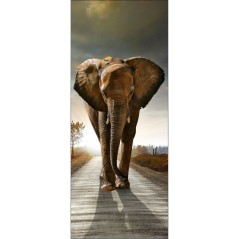 Sticker pour porte plane Eléphant
