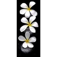 Sticker frigo électroménager déco Fleurs 70x170cm