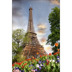 Sticker frigo électroménager déco Tour Eiffel