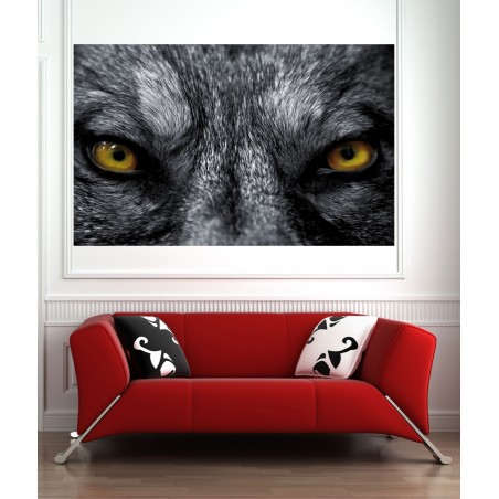 Affiche poster Yeux de loup