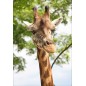 Stickers muraux déco : girafe